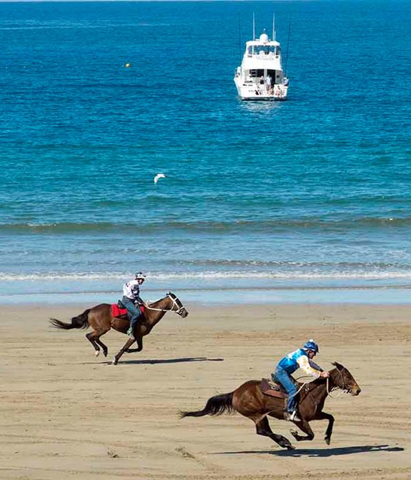 Races15058